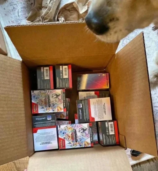 Pokémon TCG Pallets – Booster Displays and Trading Cards for Resellers in the Australia & EU — image 3